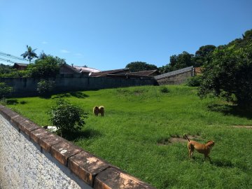Terreno - Venda - Salto - Blumenau - SC
