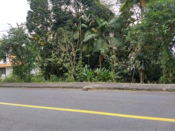 Terreno - Venda - do Salto - Blumenau - SC