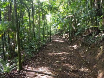 Terreno - Venda - Itoupava Central - Blumenau - SC