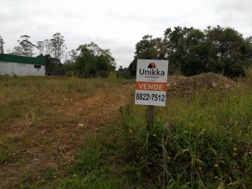 Terreno - Venda - Itoupava Central - Blumenau - SC
