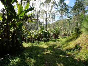 Terreno - Venda - Fortaleza Alta - Blumenau - SC